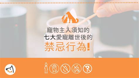 狗狗死後|寵物主人須知的愛寵離世後七大禁忌行為 